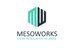 MesoWorks België